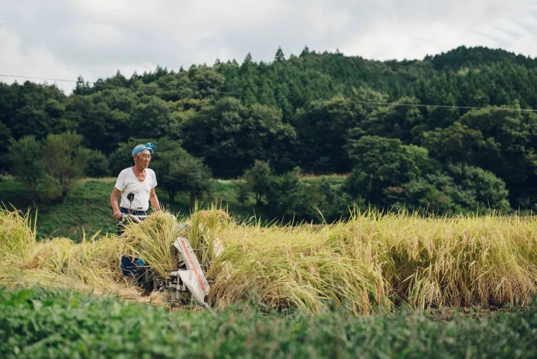 Setouchi Cominca Stay · 传统与现代的日本民宿丨Katsumi yamashita,Shiro miura-7