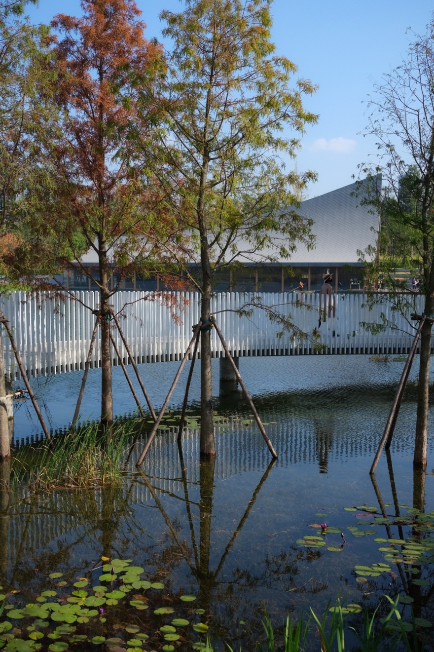 成都兴隆湖·湖畔森林图书馆丨中国成都丨中建西南设计院,YUDAOstudio昱道景观等-30