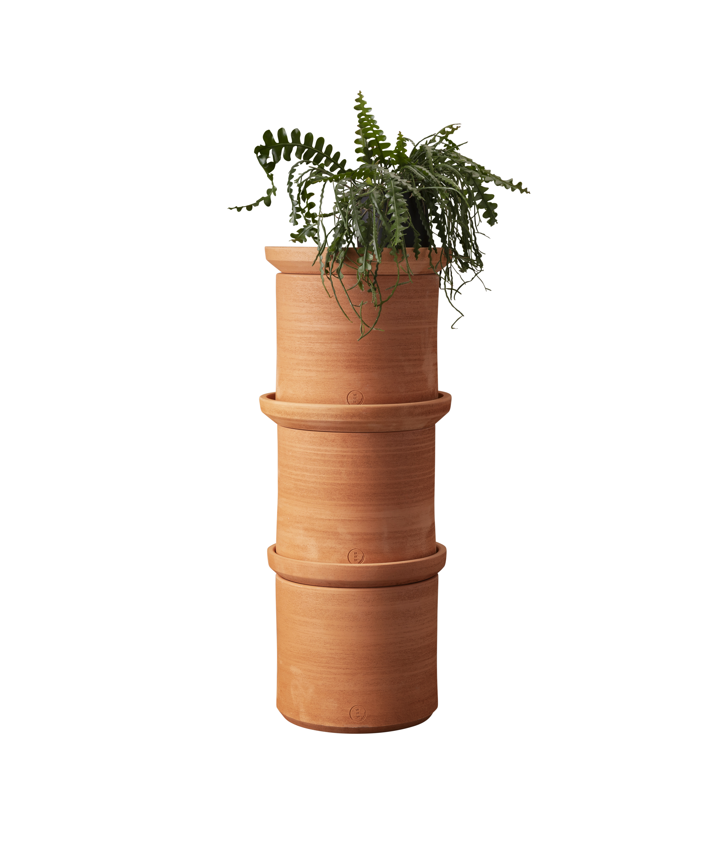  vavava' . miniforms-2