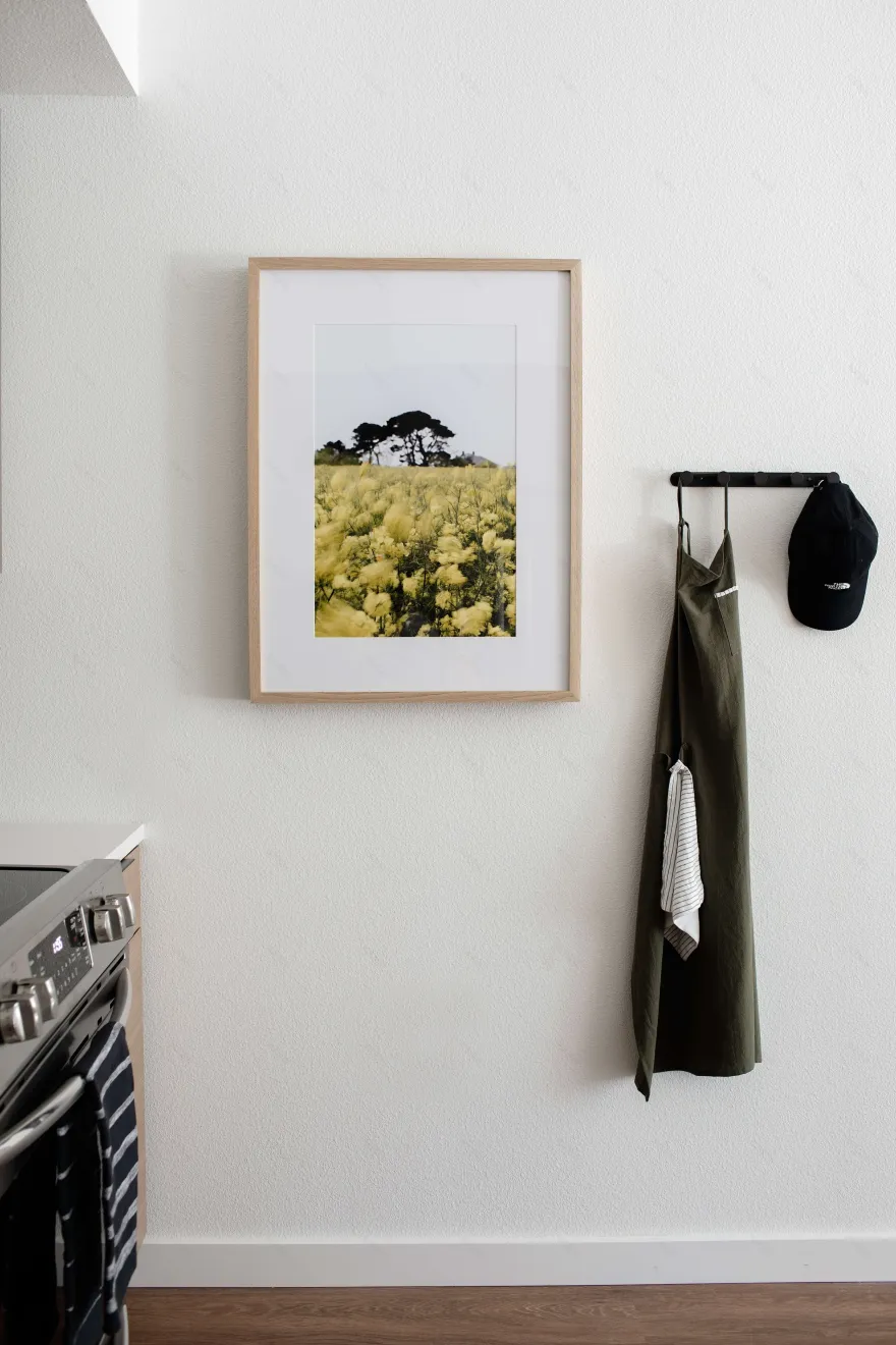 丨加拿大温哥华-41