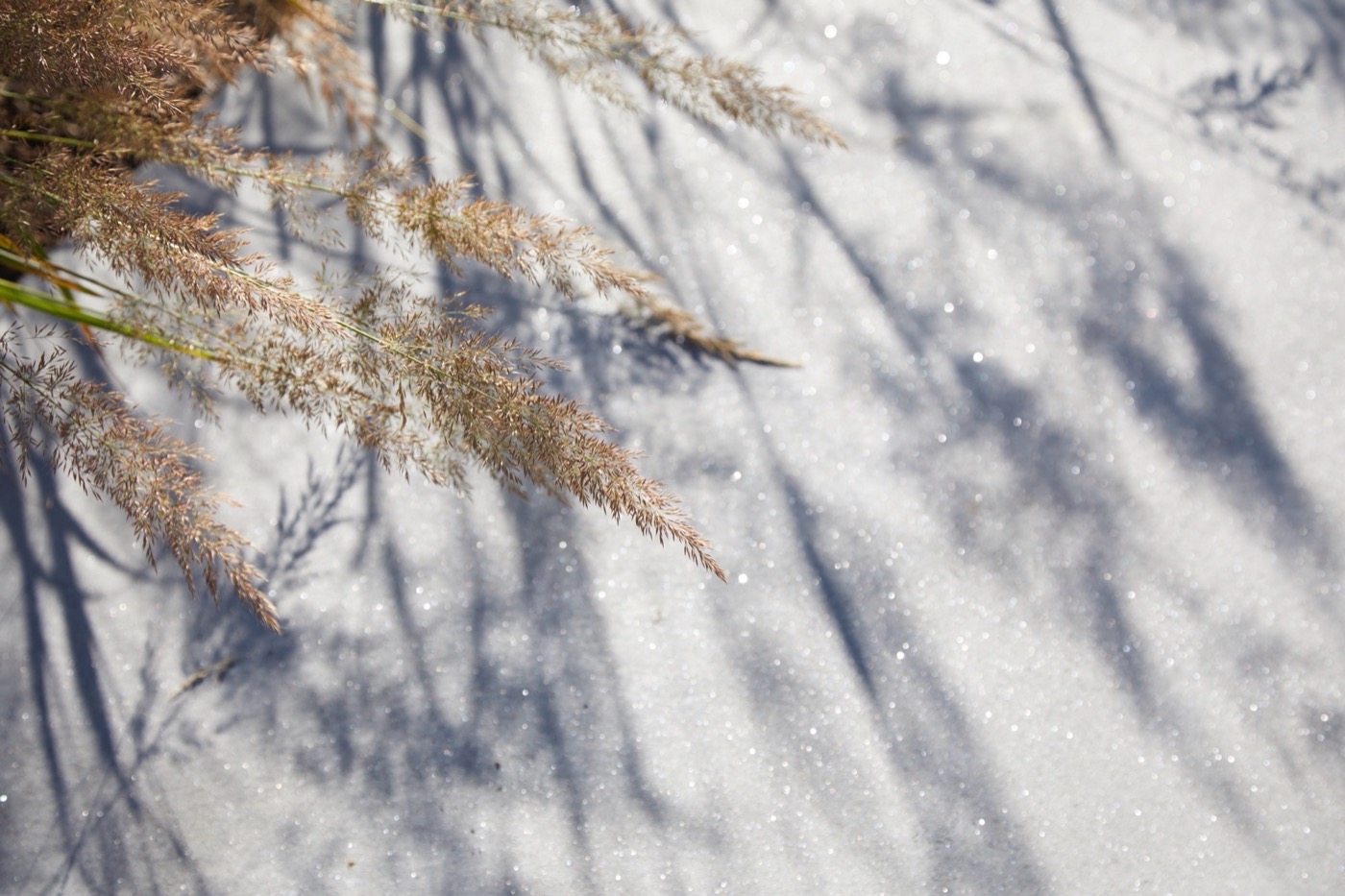 绿色之心的现代景观设计丨BD landscape architects-19