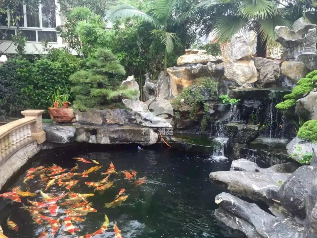 画龙点睛——庭院植物搭配解析-47