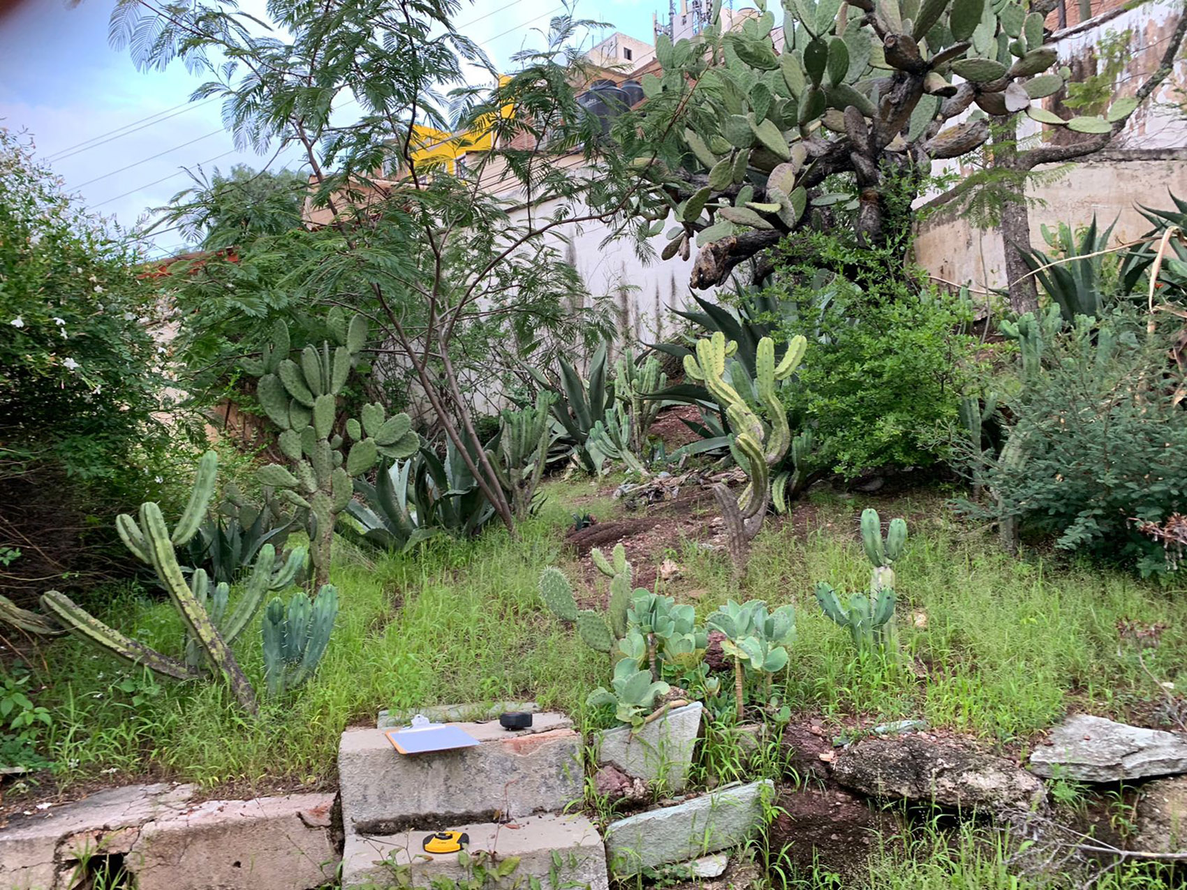 Falguera板式网球俱乐部丨墨西哥瓜纳华托丨3me Arquitectura-58