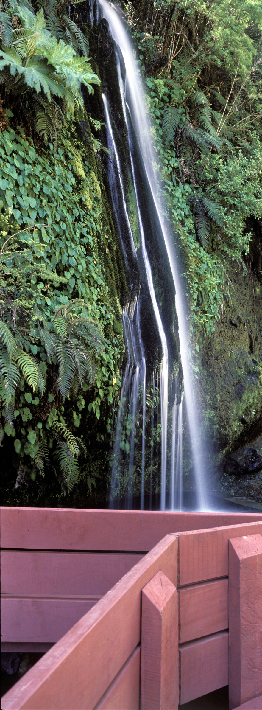 Termas Geométricas 温泉景观设计丨智利丨Germán del Solarquitectos-35