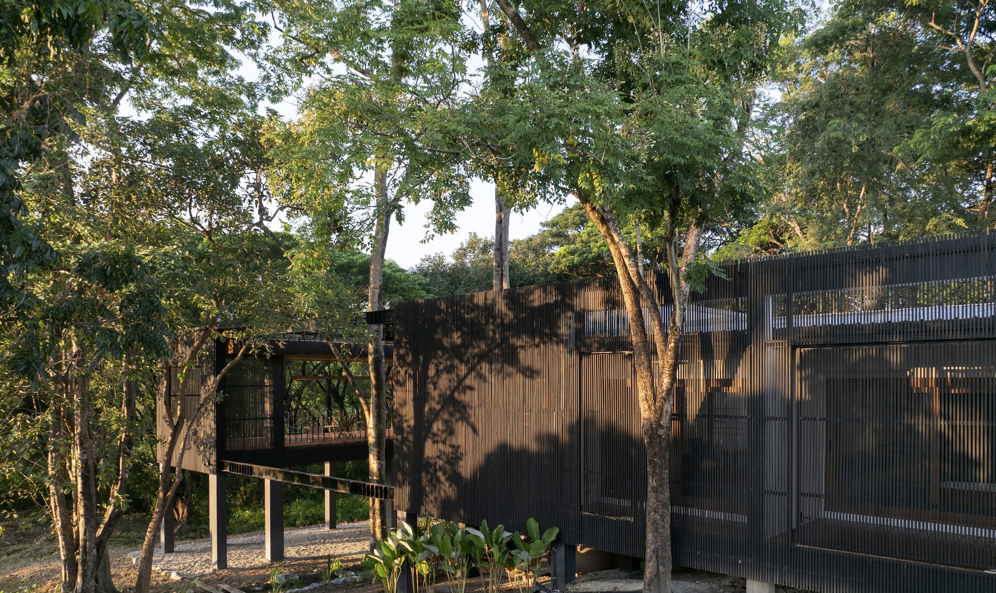 宗通雨树屋丨泰国清迈丨Sher Maker-30