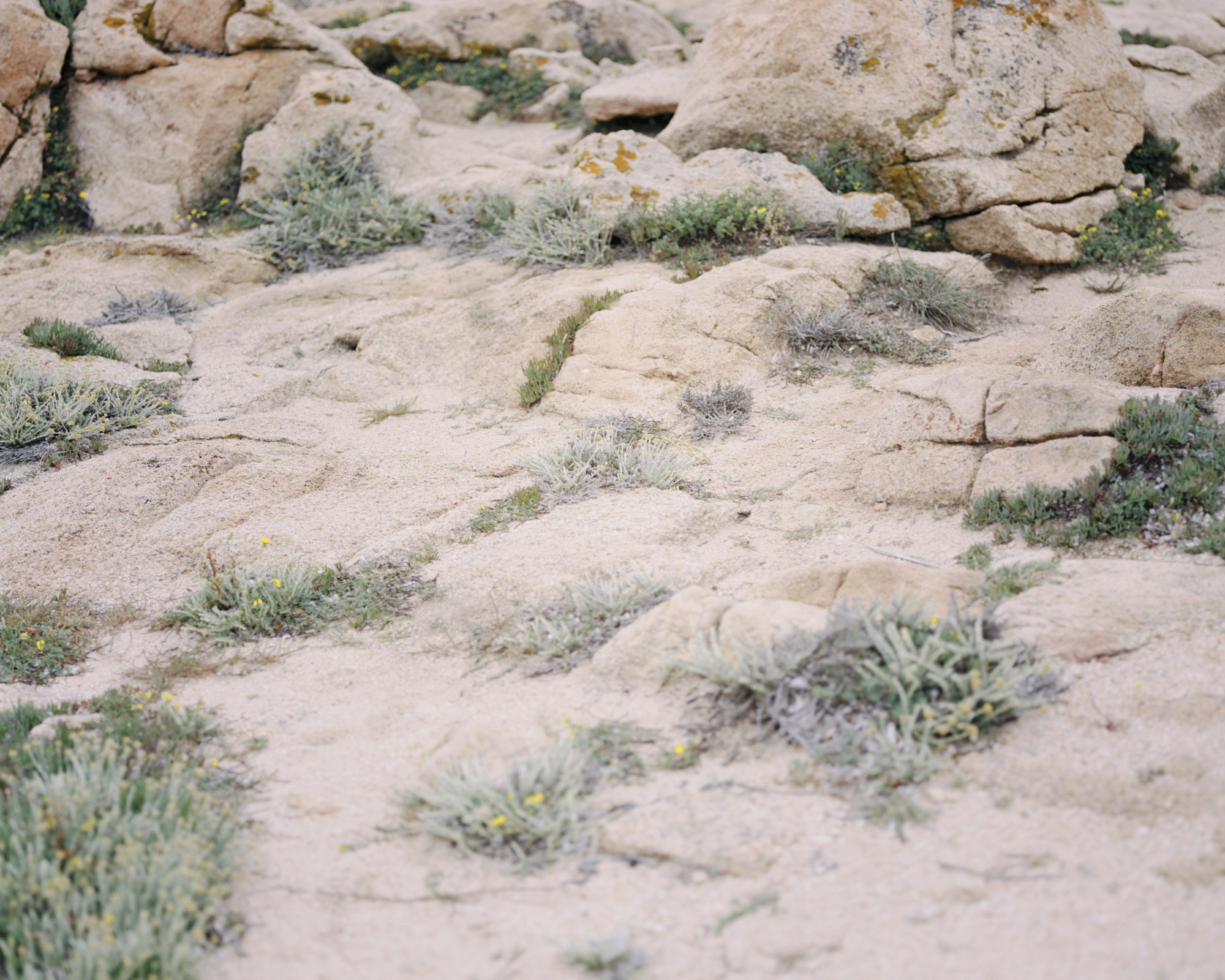 Myrto 餐厅改造项目丨意大利-24