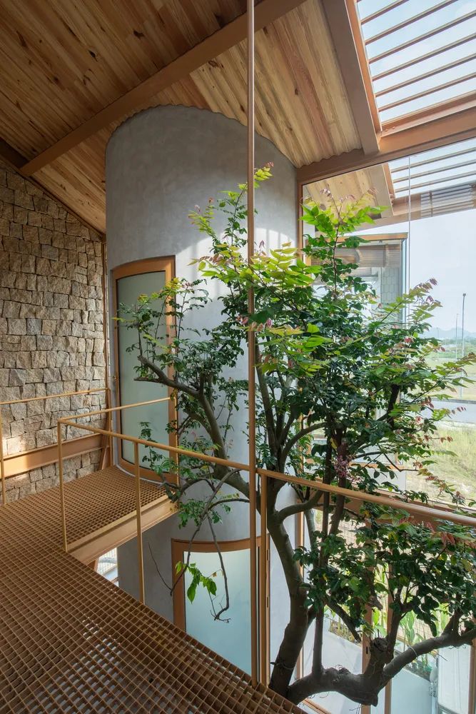 172 m²越南退休住宅（Ga·o House）-50