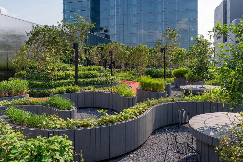 曼谷 AIA East Gateway 办公楼丨泰国曼谷丨Creative Crews-42