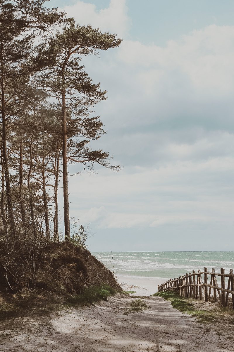 Szumilas Superior Cottages | 融入自然的现代化别墅设计-43