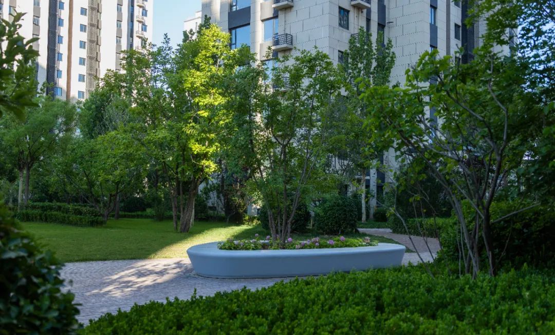 华远·和府·涿州丨中国河北丨麦田景观-17