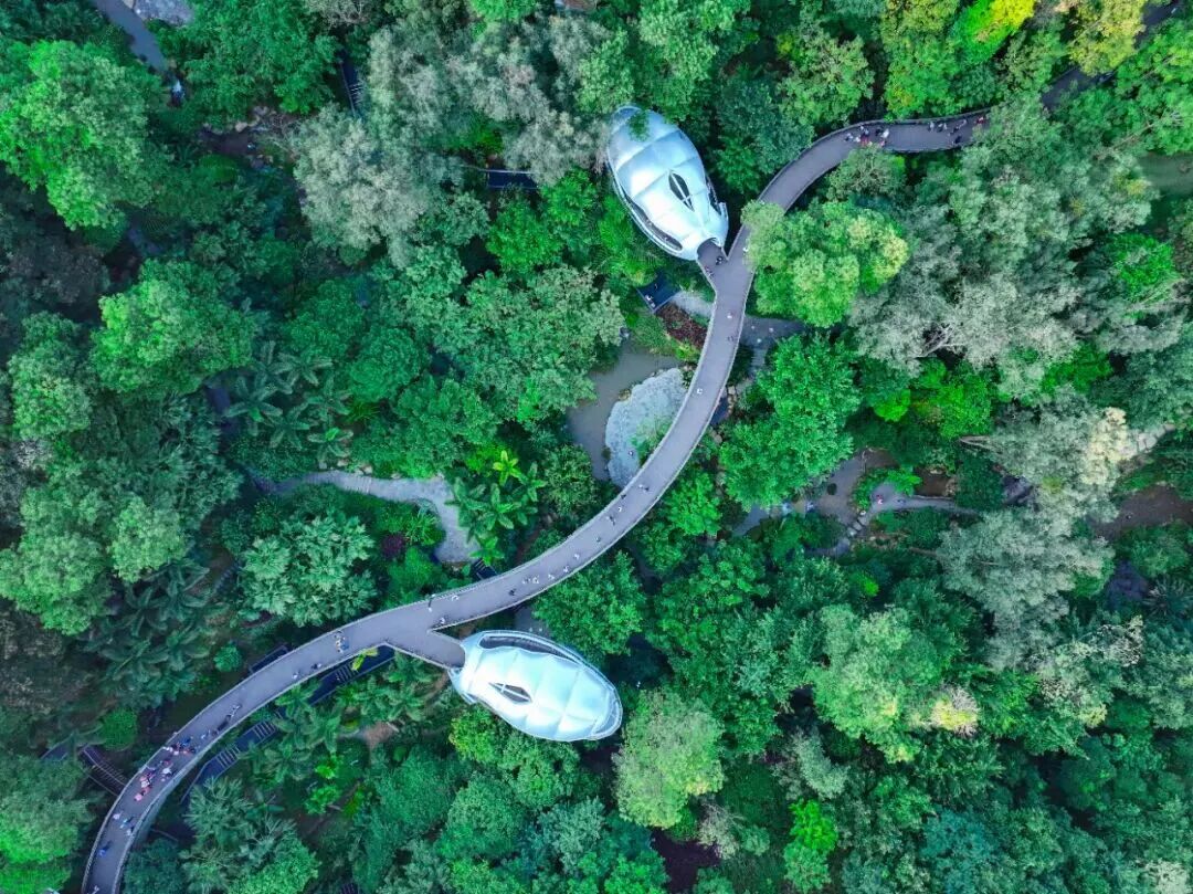 秋游啦！广州这个“靓出片”的景点不容错过-31