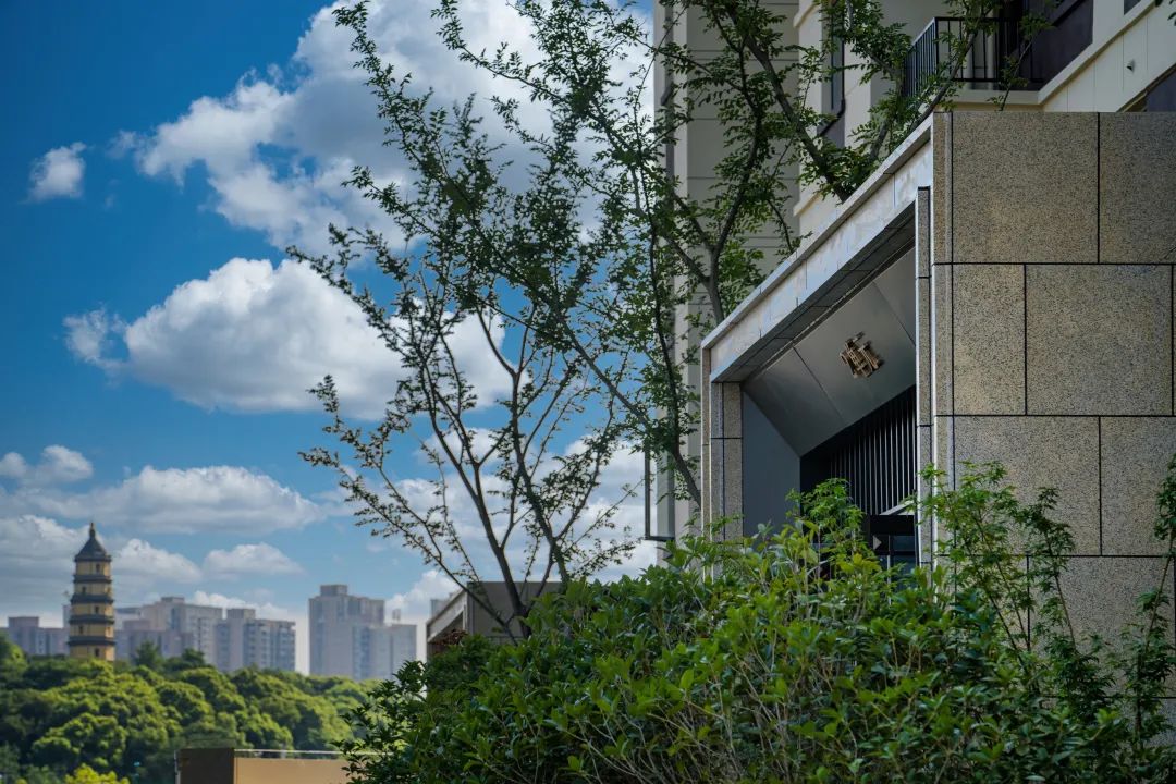 美好交付 | 镇江上悦诗苑，理想照进现实的新生活-39