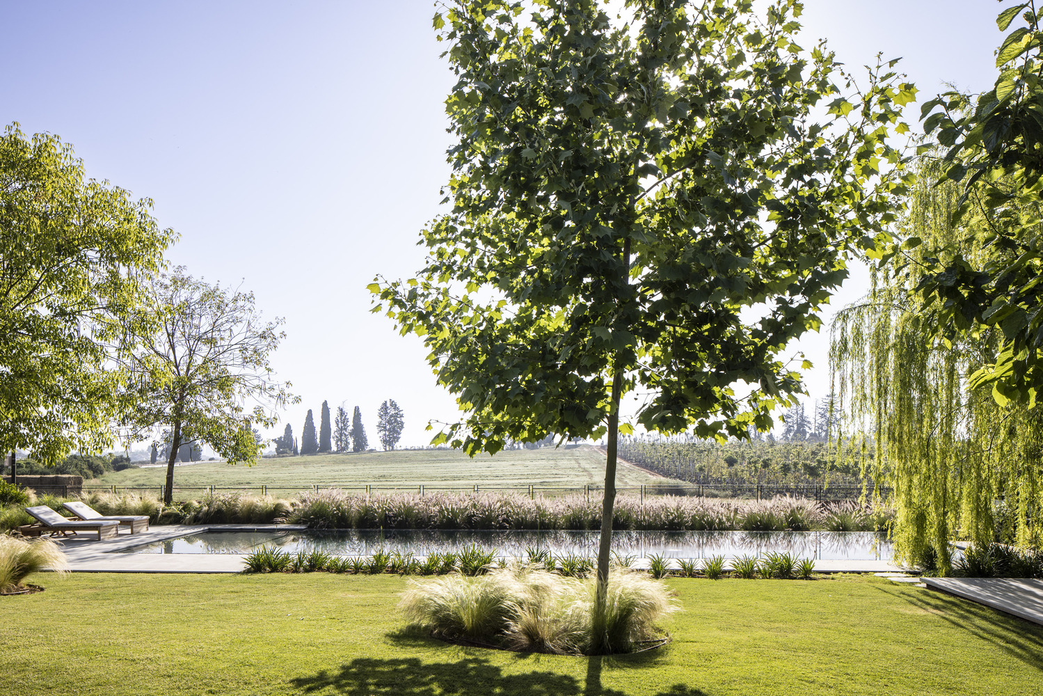 以色列中心地带的景观住宅设计-47