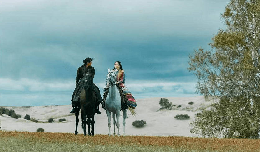 《上阳赋》配色美学 · 家居风格新灵感丨亚士-28