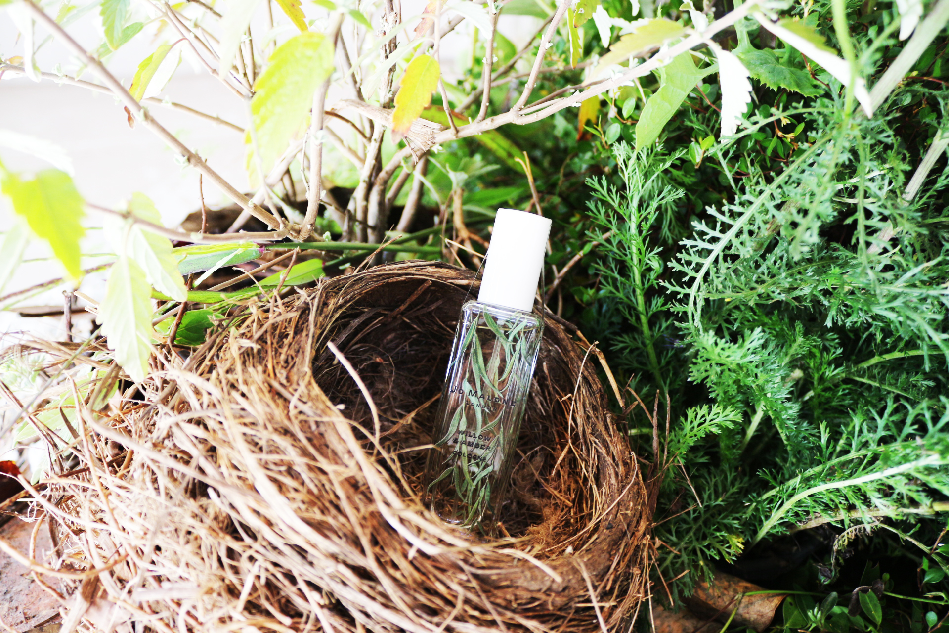 丨新西兰奥克兰丨Xanthe White Design-23