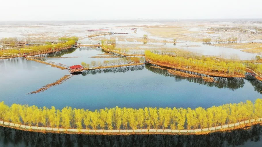 雄安白洋淀水岸公园景观设计丨TLS景观设计事务所-28