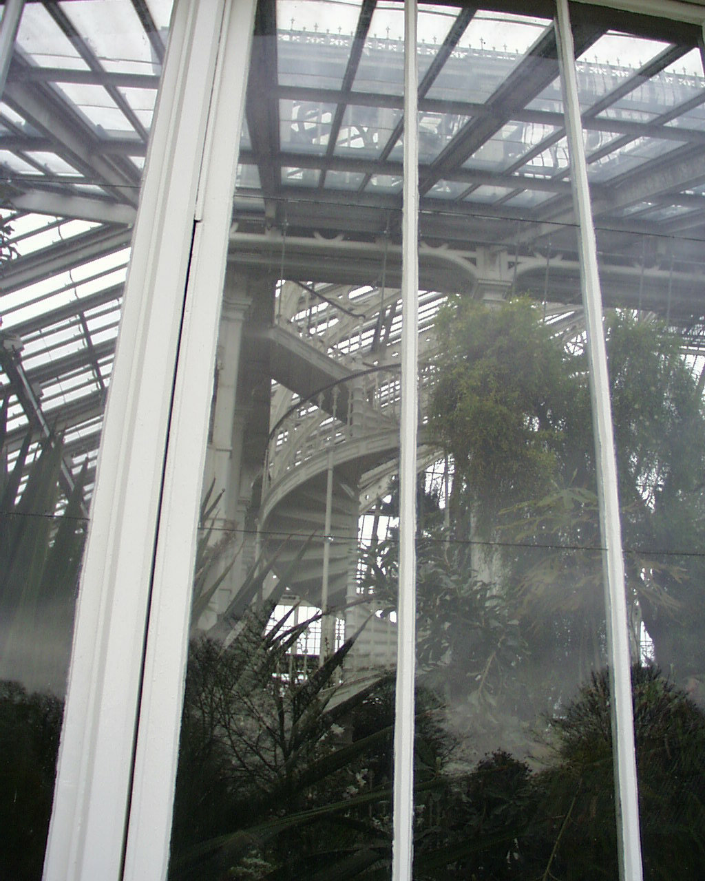 伦敦基尤皇家植物园(Royal Botanic Gardens, Kew )-64