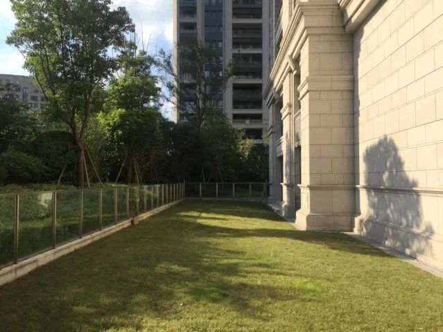 东航云锦-- 简约风庭园设计，展现自然之美-22