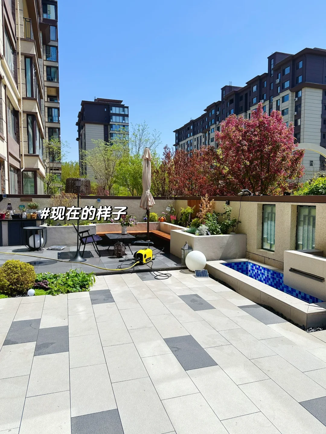 辽宁一女子的院子火了，拒绝过度布置，那叫一个高级，羡慕-15