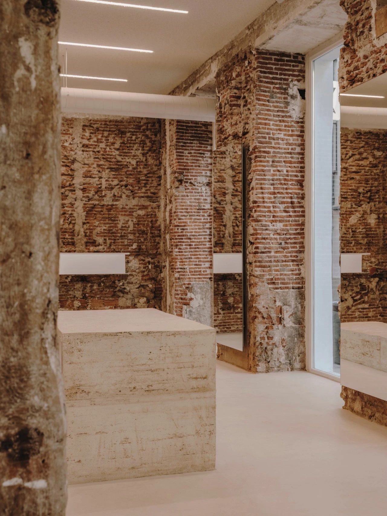 PLANTEA｜新的生命力-40