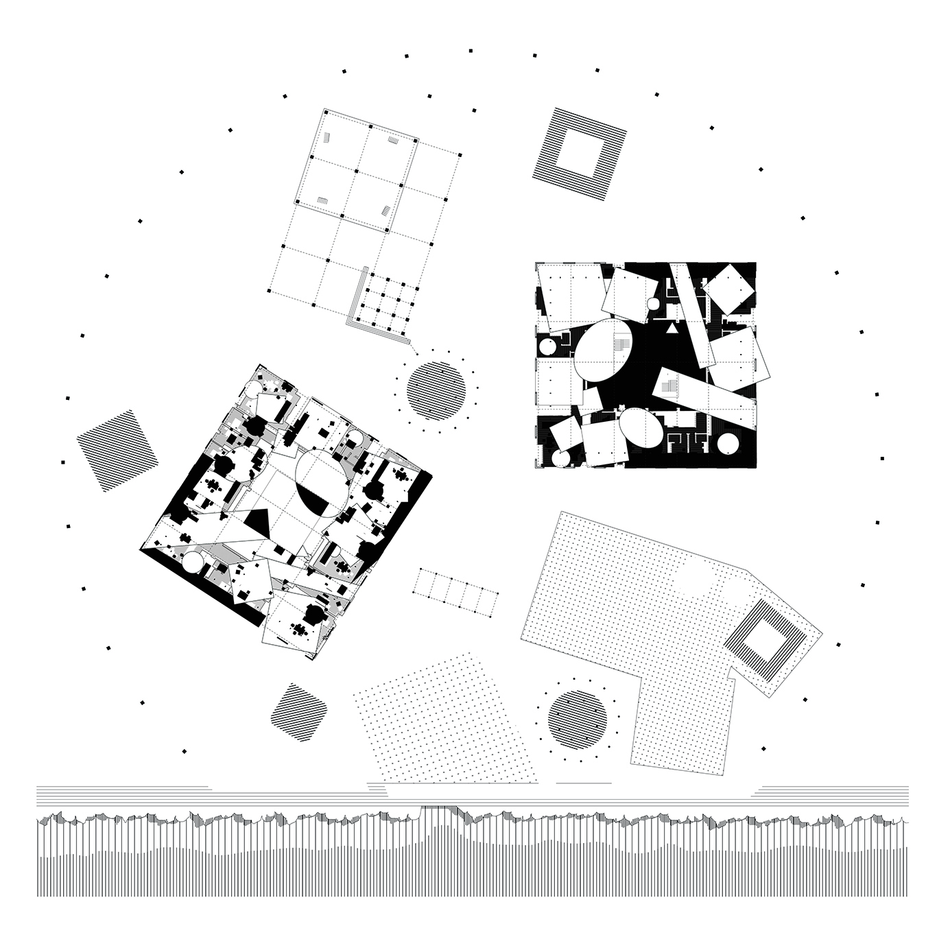 丨新西兰奥克兰-5