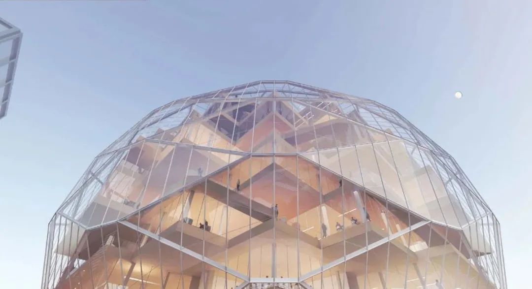 发现伙伴研究所丨OMA-14