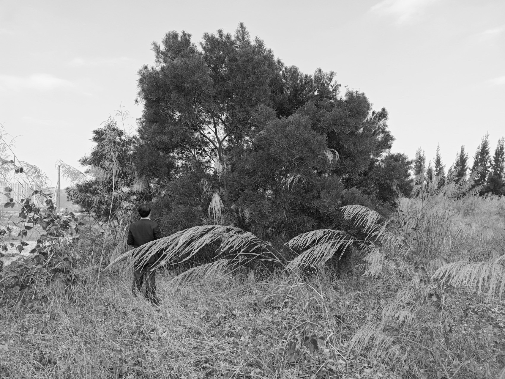 双鱼岛运动集群首开区丨中国漳州丨Yudao Studio昱道景观,Studio 10-222