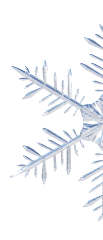 冬季装修是“捡漏”还是“踩坑”?金螳螂家带您算清这笔账!-4