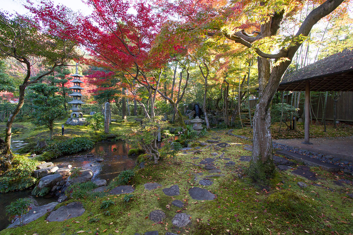 旧时气韵，现代延承 | 植彌加藤-71