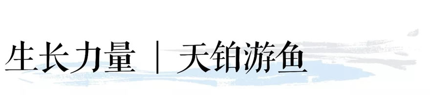 衡水•红星天铂-33