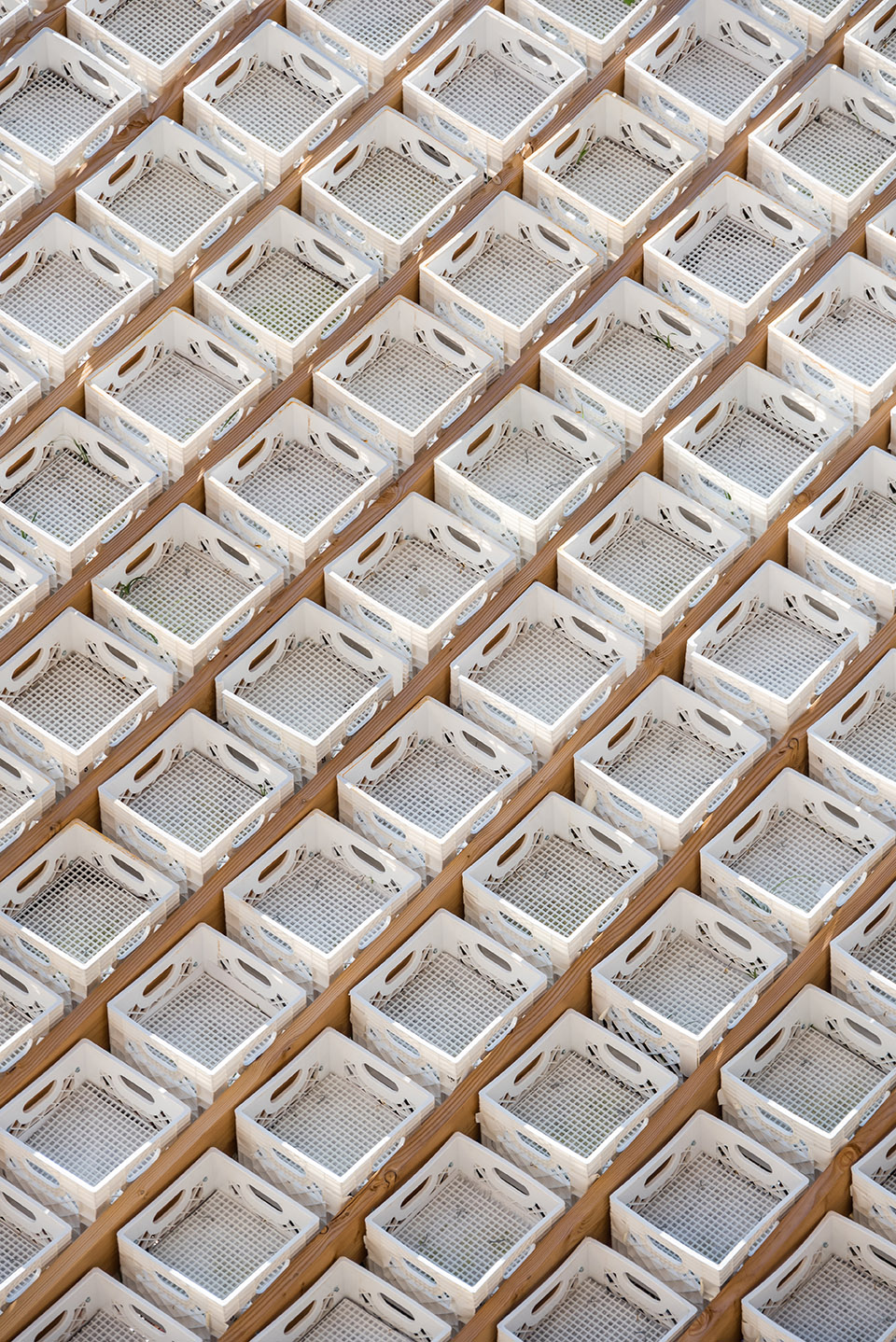 Living Pavilion装置，安纳西 / Behin Ha-32