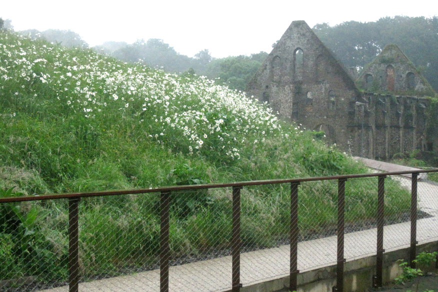 Abdij van Villers  la  Ville新访客路线项目-24