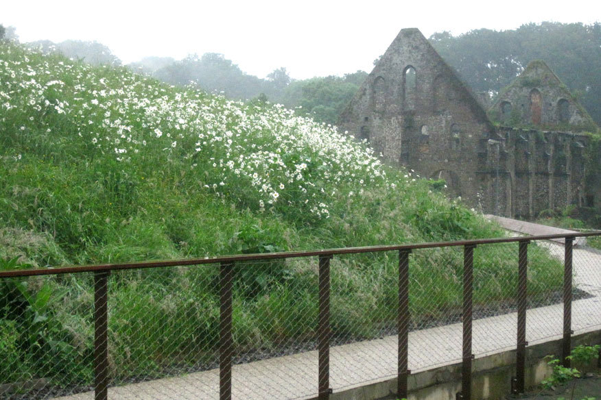 Abdij van Villers la Ville新访客路线项目-24