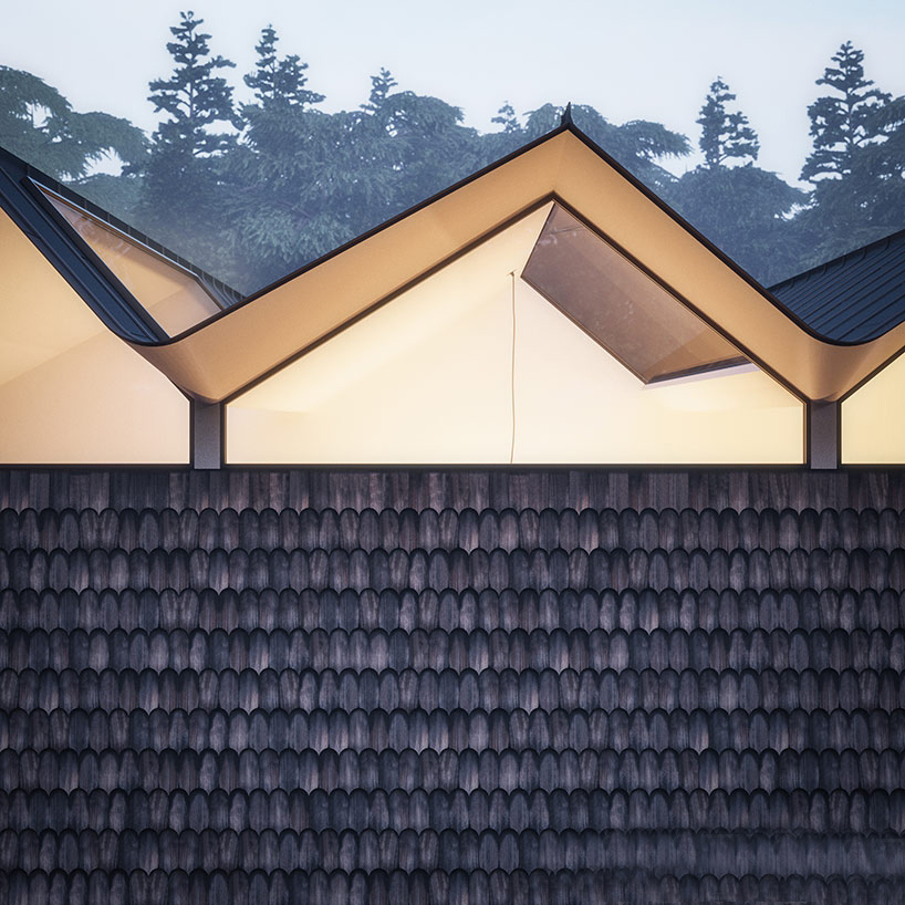 加州锯齿形屋顶的 Hendee·Borg 住宅-19