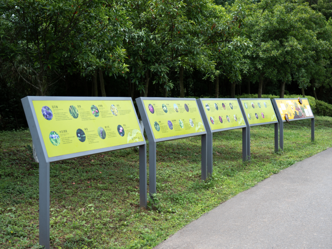 白鹭湾湿地公园自然探索基地丨中国成都丨上海柏熙标识有限公司-83