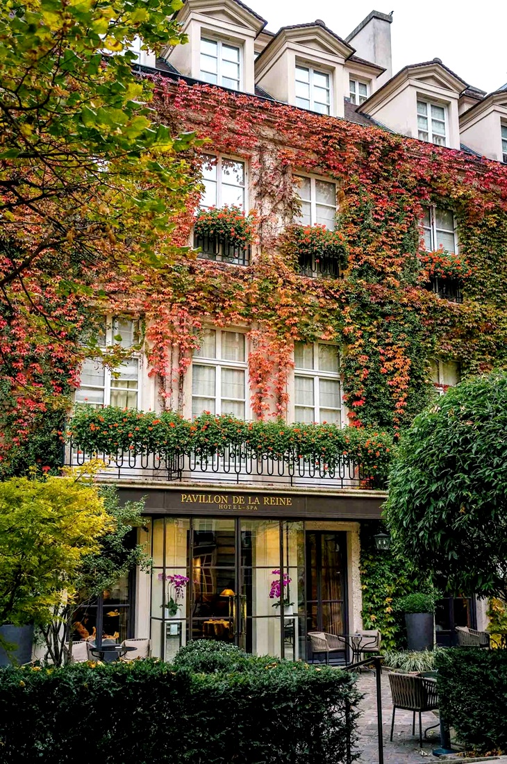 Le Pavillon de la Reine - Tempo da Delicadeza-0