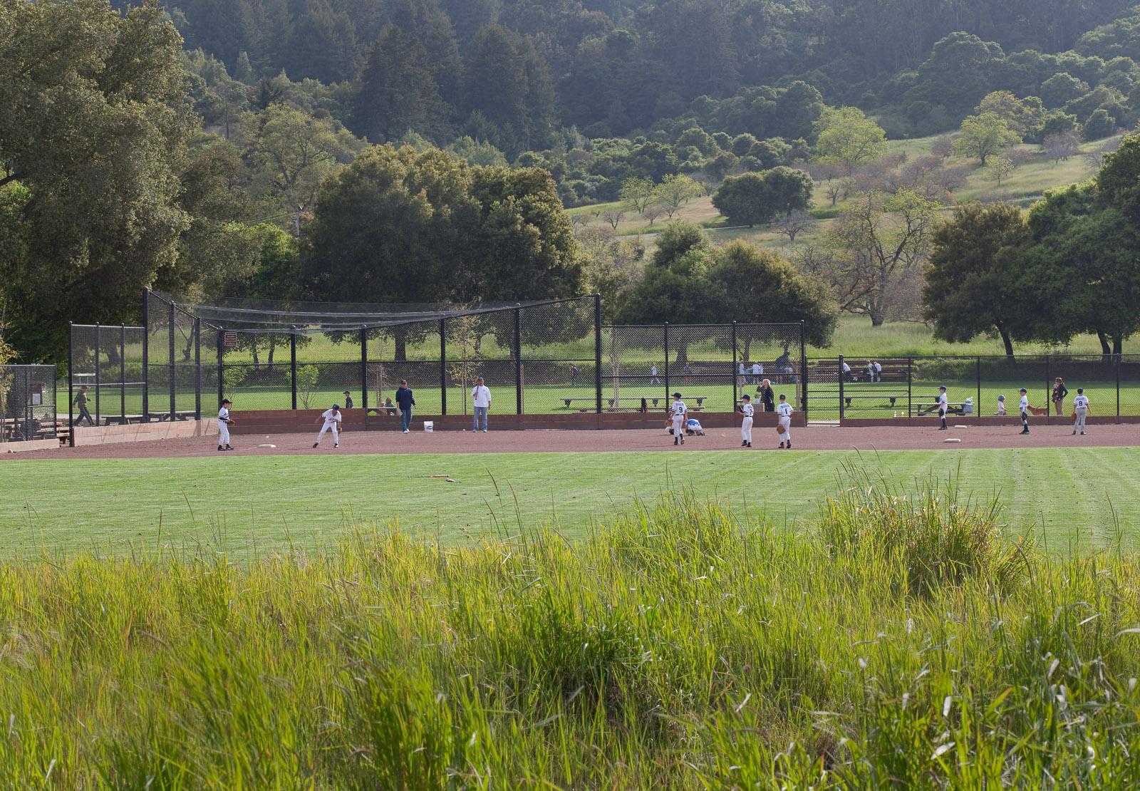 博特莱野奢小镇中心景观 portola town center by Lutsko Associates Landscape-5