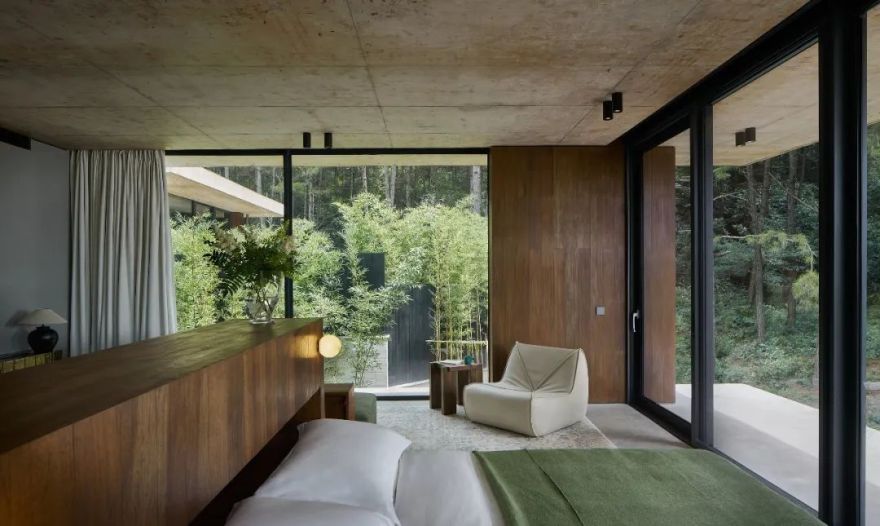 山谷松林里的隐世秘境之旅|PrivateJourneyinthePineryValley-155