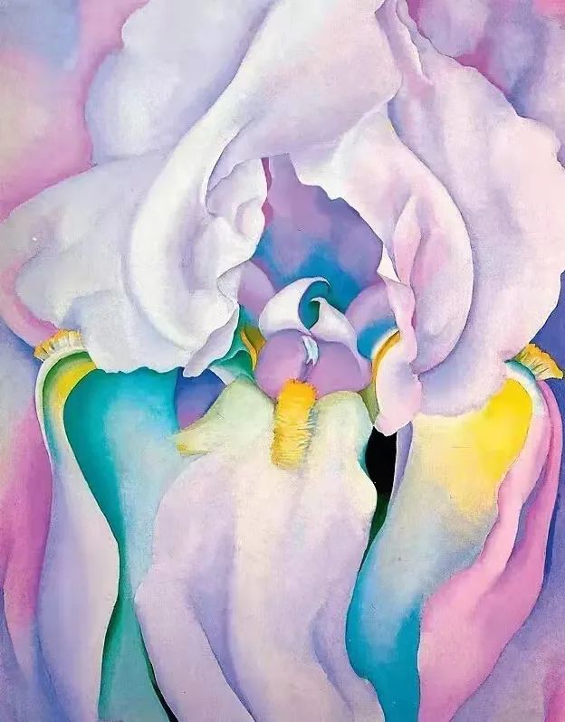 欧姬芙的家丨墨西哥丨乔治亚·欧姬芙-72