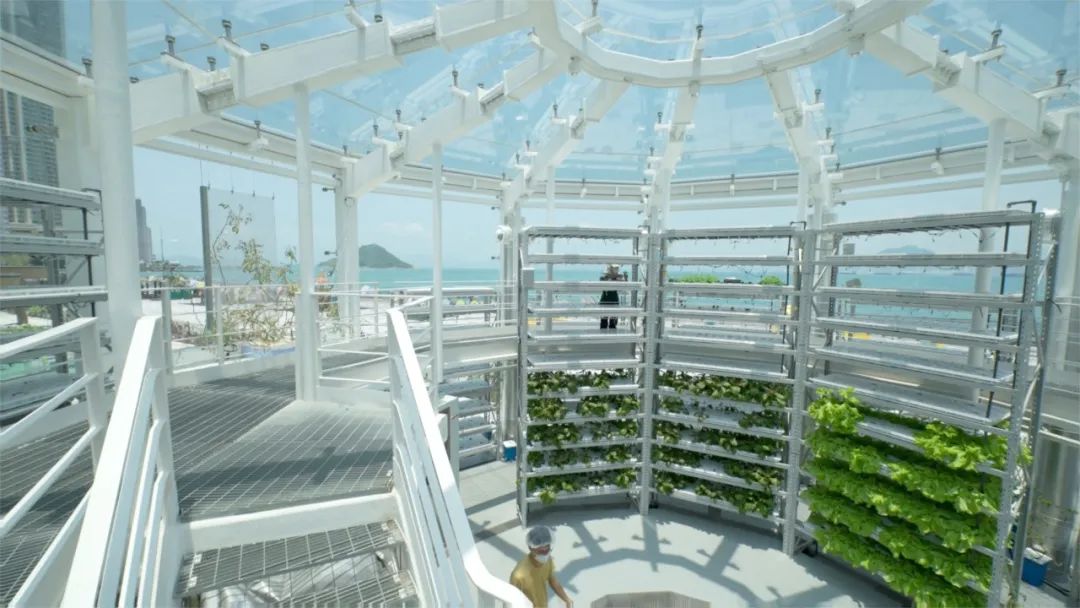 香港KFarm · 高科技农场的绿色奇迹丨中国香港丨陈启豪等-25