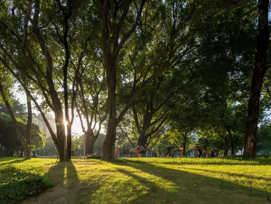 广州中海·荔府丨中国广州丨广亩景观-82
