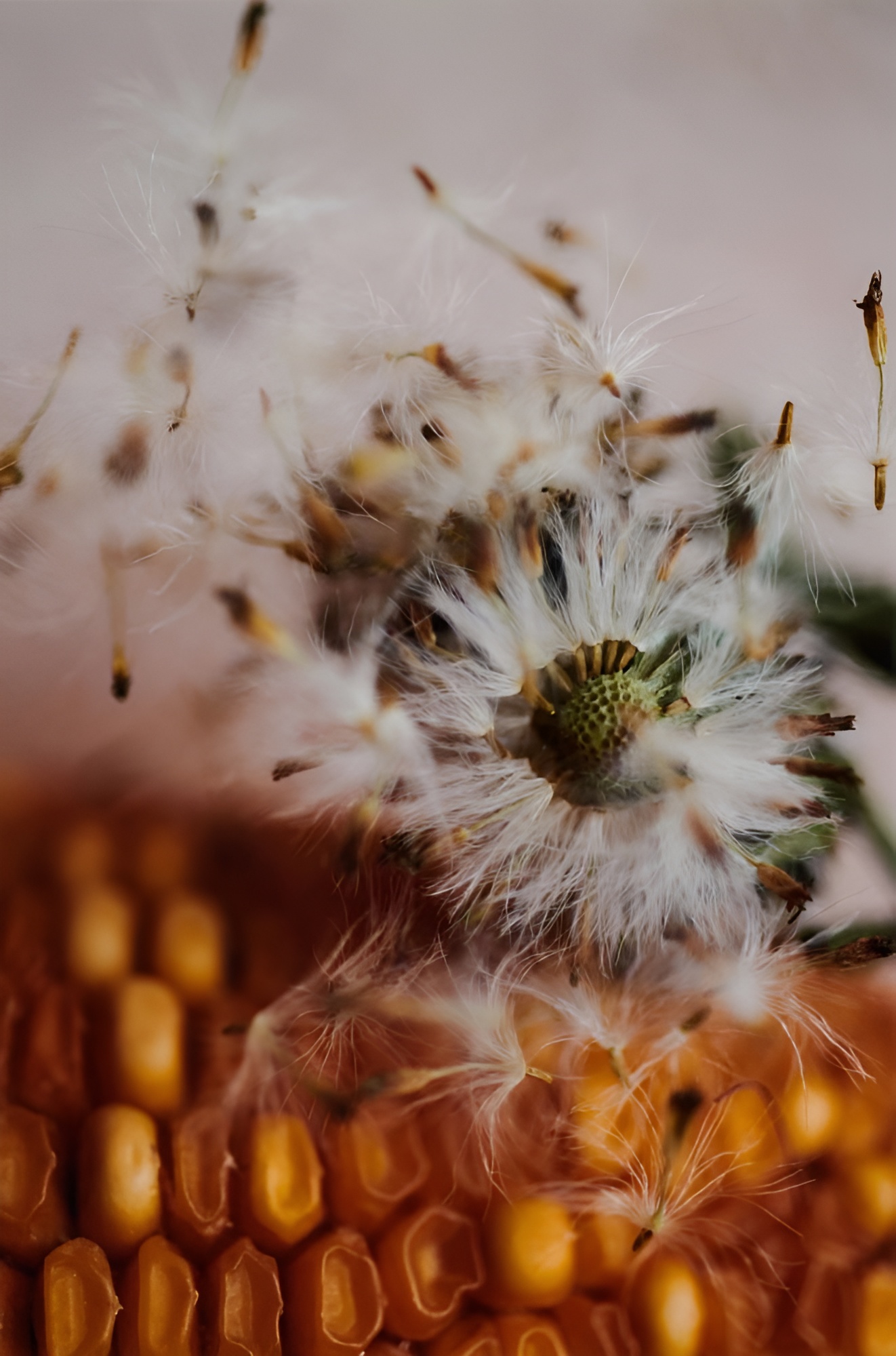 MIL 餐厅丨秘鲁库斯科丨Estudio Soroche 设计工作室-10