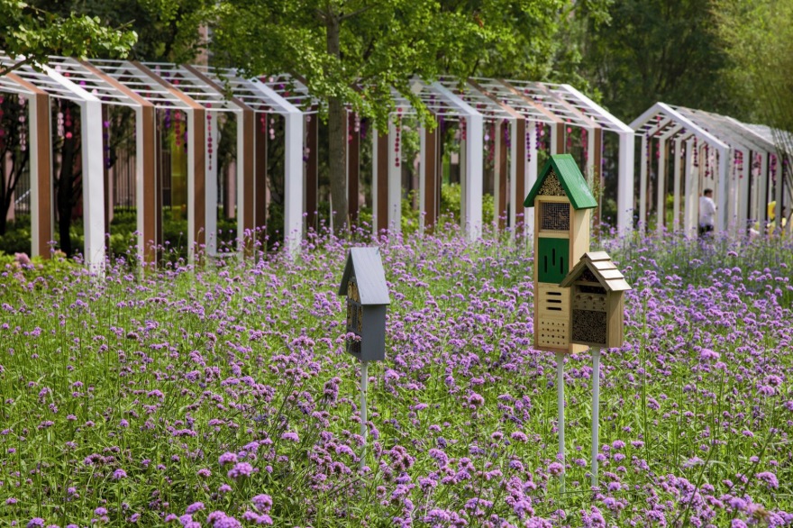 望京阜园景观改造提升设计丨中国北京丨埊木设计(CAFA·A城市艺术创新中心)-66