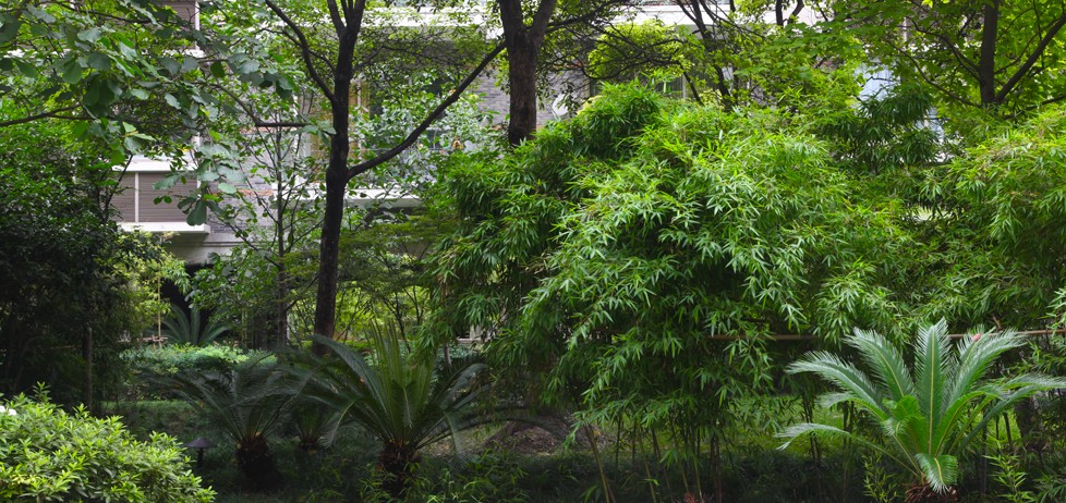 Lakeville 翠湖天地-2