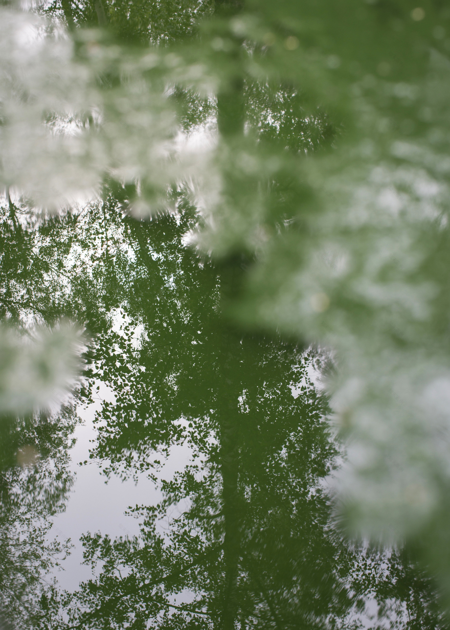 螺旋藻水景喷泉 / Leopold Banchini Architects with Daniel Zamarbide-15