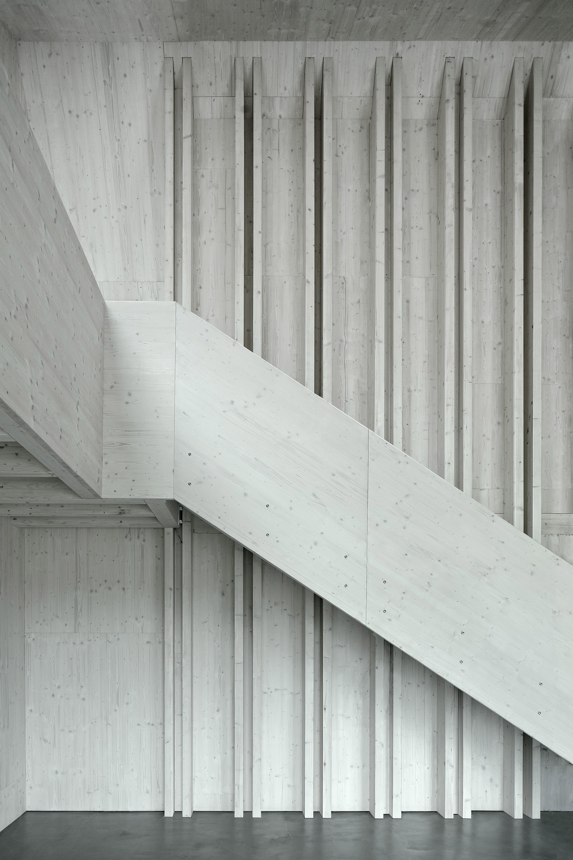 房子 SF 或 众议院 SF (具体需根据上下文确定)丨奥地利丨Moser und Hager Architekten-33