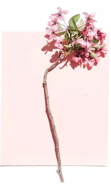 新时代女性独居空间，粉色浪漫与灰色简约的完美结合-11