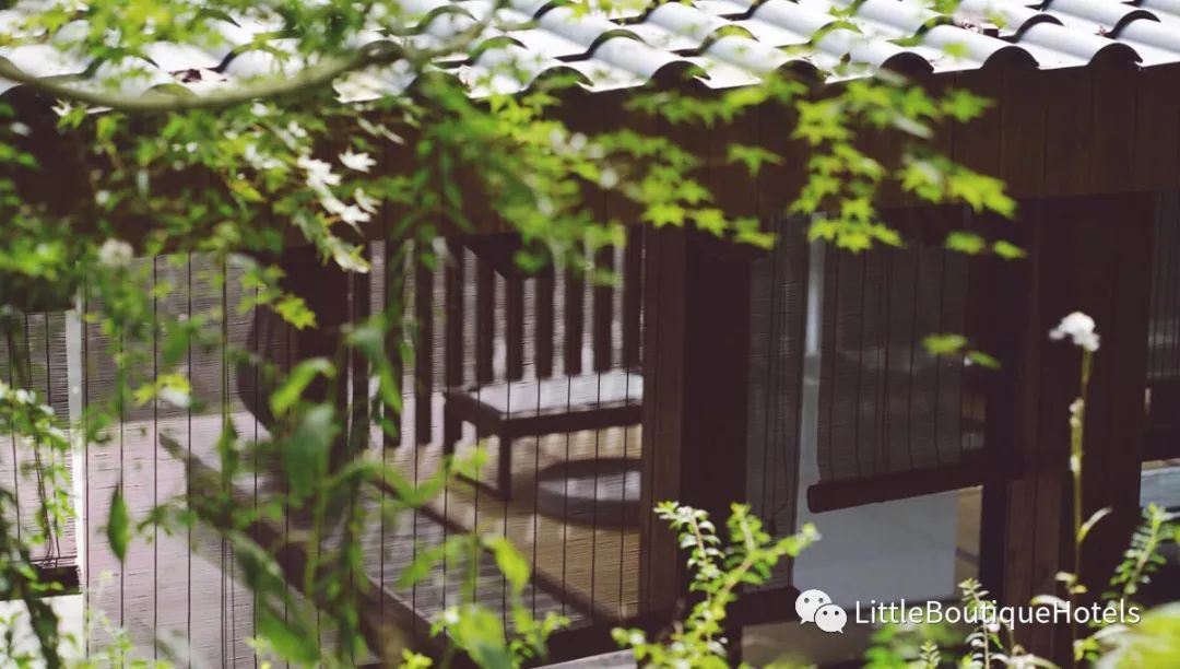 青城山坐忘森林酒店 | 一步一禅,一宿一悟的禅意度假胜地-18