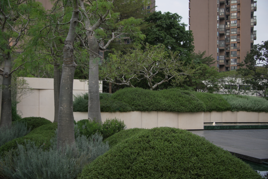 深圳后海招商玺丨中国深圳丨承迹景观Change Studio等多家公司-35