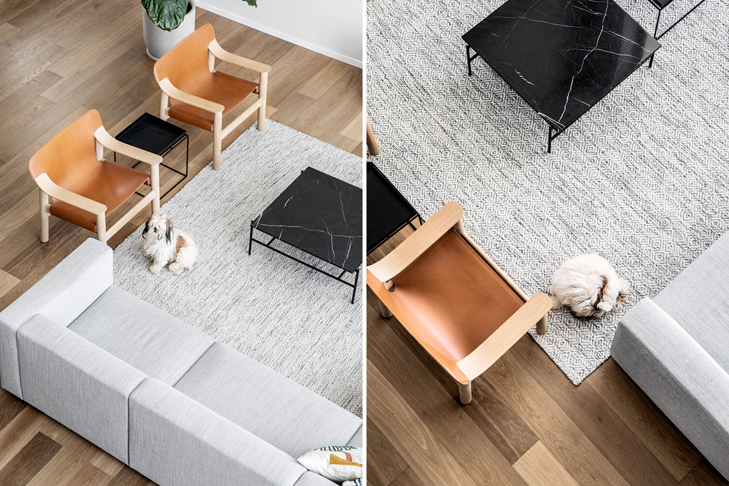 家庭住宅 5 号丨哥伦比亚梅塔丨RUST architects-12